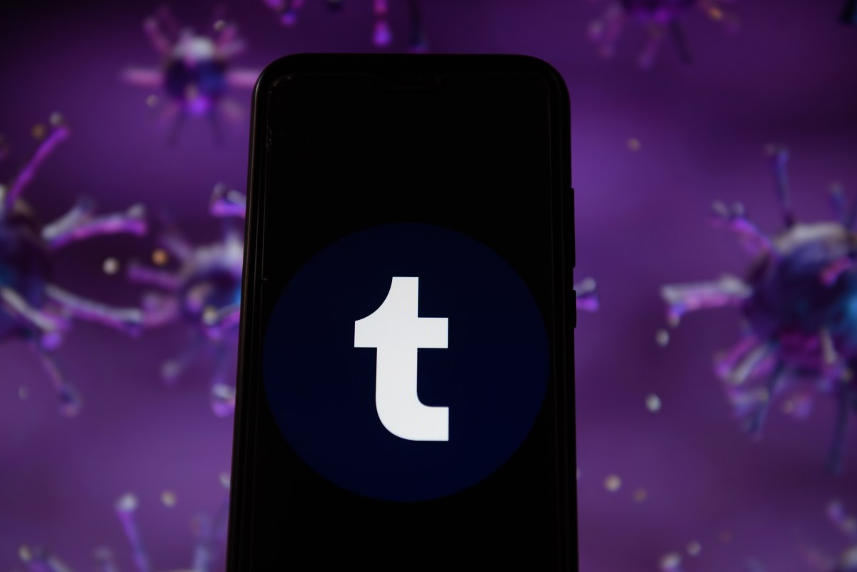 Tumblr reports ~350% user growth following X’s ban in Brazil