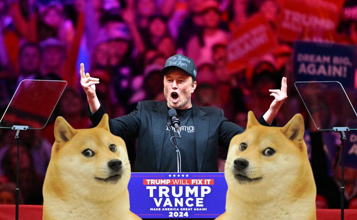 What’s DOGE? Musk’s new political appointment under Trump is a crypto joke